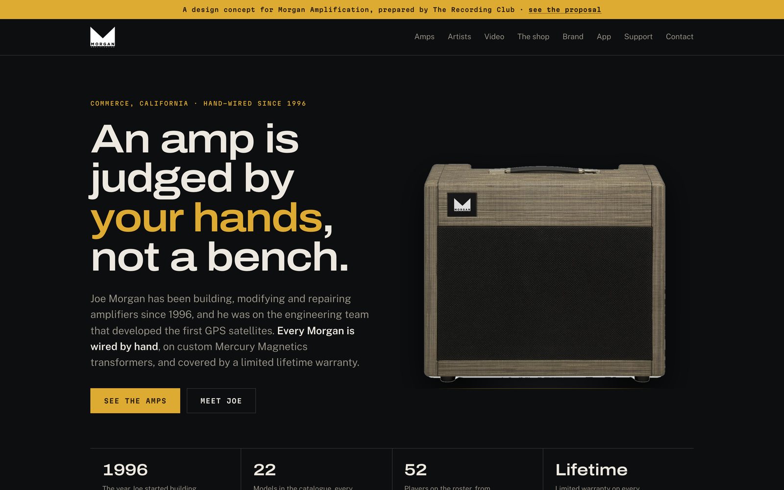 The redesigned Morgan Amplification home page